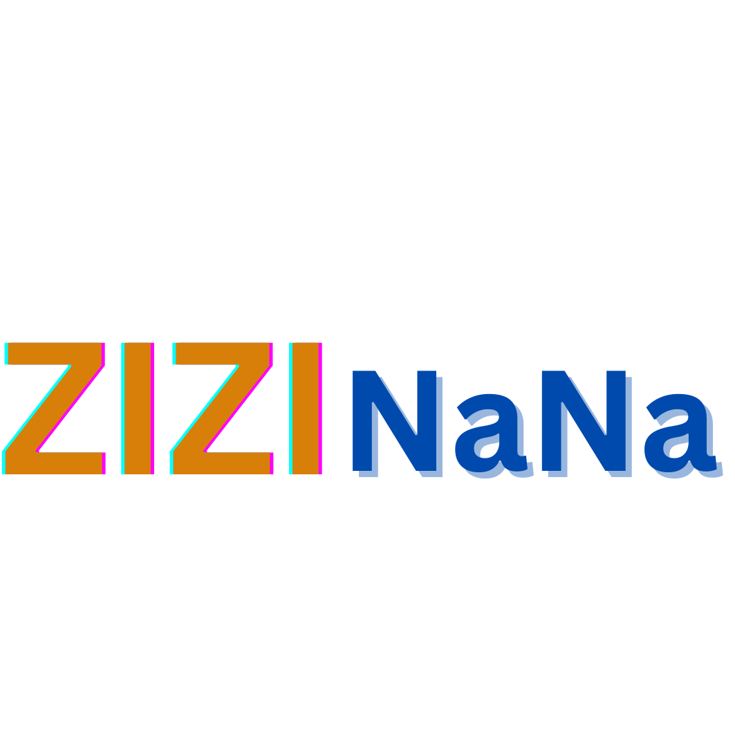 ZIZI NaNa Logo